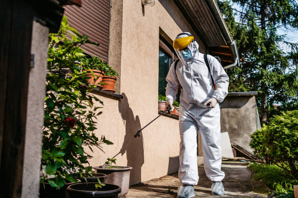 Best Residential Pest Control  in Sierra Vista, AZ